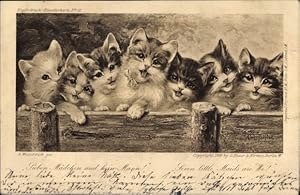Künstler Ansichtskarte / Postkarte Weczerzick, A., Sieben Mädchen und kein Mann, Hauskatzen