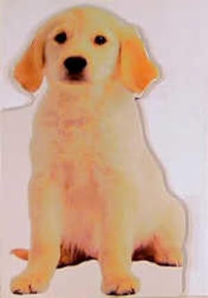 Bild des Verkufers fr Popcorn der Hund. zum Verkauf von Gerald Wollermann