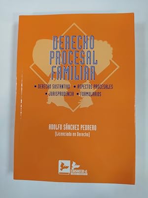 Seller image for DERECHO PROCESAL FAMILIAR. for sale by TraperaDeKlaus