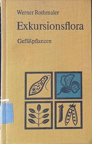 Seller image for Exkursionsflora fr die Gebiete der DDR und der BRD : Gefpflanzen. for sale by books4less (Versandantiquariat Petra Gros GmbH & Co. KG)
