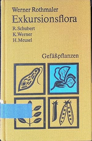 Seller image for Exkursionsflora von Deutschland; Bd. 2., Gefsspflanzen. - Grundband. for sale by books4less (Versandantiquariat Petra Gros GmbH & Co. KG)