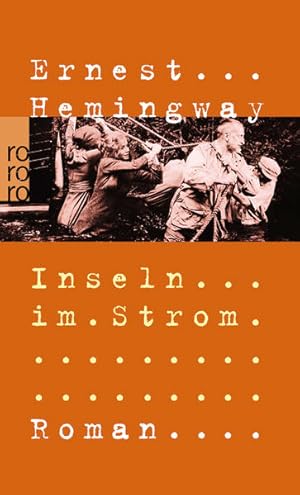 Seller image for Inseln im Strom for sale by Express-Buchversand