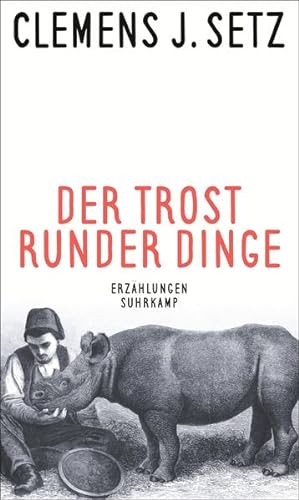 Seller image for Der Trost runder Dinge: Erzhlungen for sale by Studibuch