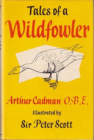 Image du vendeur pour TALES OF A WILDFOWLER. By W.A. Cadman, O.B.E. Illustrated by Sir Peter Scott. mis en vente par Coch-y-Bonddu Books Ltd