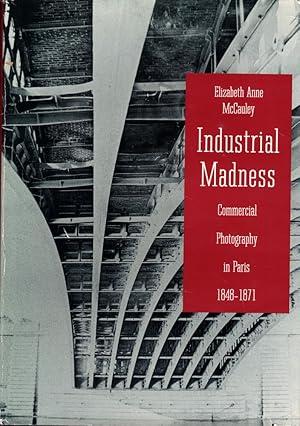 Industrial Madness: Commercial Photography in Paris, 1848-1871