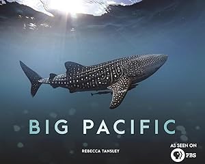 Big Pacific: Passionate, Voracious, Mysterious, Violent