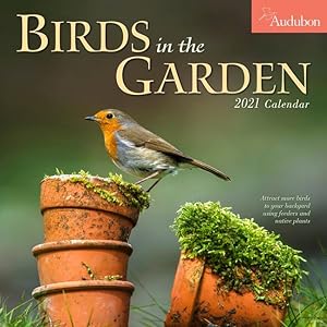 Bild des Verkufers fr Audubon Birds in the Garden Wall Calendar 2021 zum Verkauf von moluna