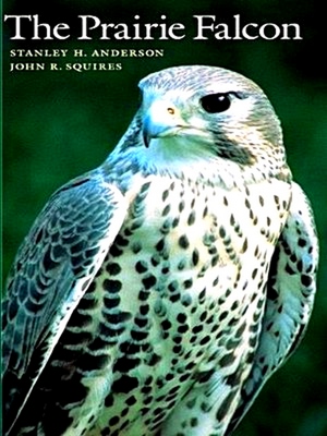 Seller image for The Prairie Falcon for sale by Collectors' Bookstore