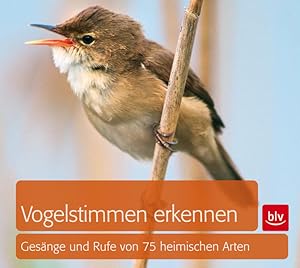 Vogelstimmen erkennen / CD. Gesänge und Rufe von 75 heimischen Arten