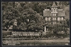 Ansichtskarte Beckenried, Hotel Pension Edelweiss