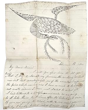 Handwritten Letter with Fine Example of Calligraphic Drawing - Bird with Olive Branch