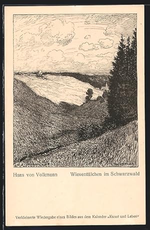 Bild des Verkufers fr Knstler-Ansichtskarte Hans von Volkmann: Wiesentlchen im Schwazwald zum Verkauf von Bartko-Reher