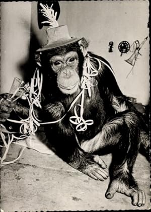 Ansichtskarte / Postkarte Vermenschlichter Schimpanse, Luftschlangen, Sektglas