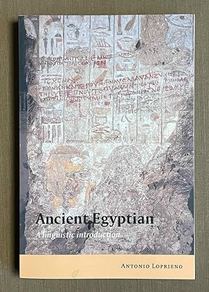 Immagine del venditore per Ancient Egyptian. A Linguistic Introduction venduto da Meretseger Books