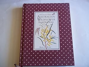 Image du vendeur pour A Collection Of Australian Wildflower Illustrations mis en vente par Carmarthenshire Rare Books