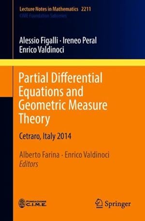Immagine del venditore per Partial Differential Equations and Geometric Measure Theory : Cetraro, Italy 2014 venduto da GreatBookPrices