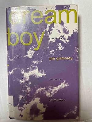 Imagen del vendedor de Dream Boy: A Novel a la venta por Jake's Place Books