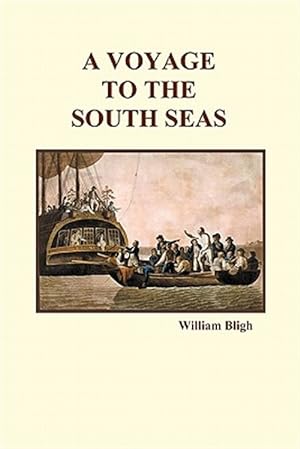 Seller image for A Voyage to the South Seas (Paperback) for sale by GreatBookPrices