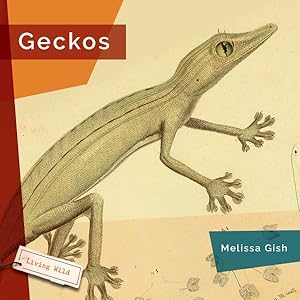 Imagen del vendedor de Geckos a la venta por GreatBookPrices