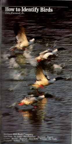 Imagen del vendedor de How to Identify Birds a la venta por Clausen Books, RMABA