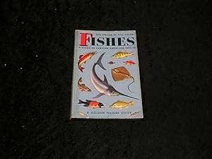 Image du vendeur pour Fishes mis en vente par Yare Books