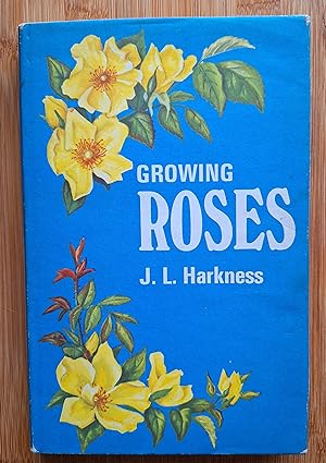 Growing Roses