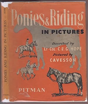 Ponies and Riding in Pictures