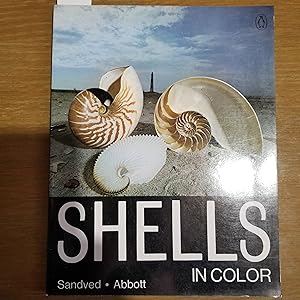 Immagine del venditore per Shells in Colour venduto da CKBooks