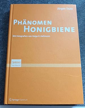 Phänomen Honigbiene