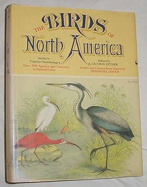 Image du vendeur pour The Birds of North America, Studer's Popular Ornithology mis en vente par R Bryan Old Books