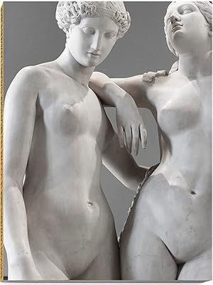 Bild des Verkufers fr Le Louvre Nu: sculptures zum Verkauf von artbook-service