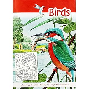Seller image for Birds Adult Colouring Book for sale by WeBuyBooks