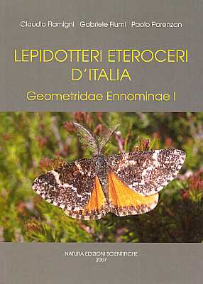 Immagine del venditore per Lepidotteri Eteroceri d'Italia: Geometridae Ennominae I venduto da ConchBooks