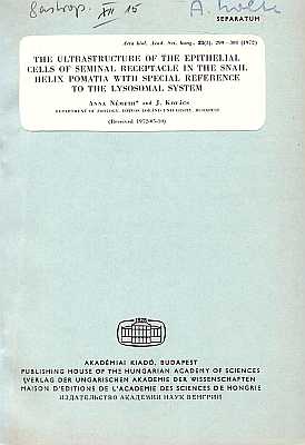 Bild des Verkufers fr The Ultrastructure of the Eithelial Cells of Seminal Receptacle in the Snail Helix pomatia with Special Reference to the Lysosomal System zum Verkauf von ConchBooks