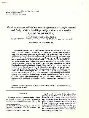 Image du vendeur pour Hemispheric-apex cells in the mantle epithelium of Loligo vulgaris and Loligo forbesi hatchlings and juveniles: a transmission electron microscope study mis en vente par ConchBooks