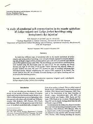 Image du vendeur pour A study of ectodermal cell communication in the mantle epithelium of Loligo vulgaris and Loligo forbesi hatchlings using iontophoretic dye injection mis en vente par ConchBooks