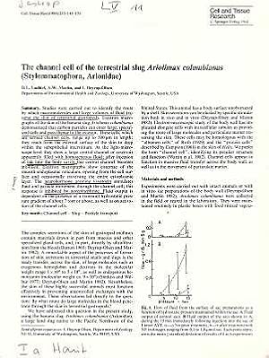 Bild des Verkufers fr The channel cell of the terrestrial slug Ariolimax columbianus (Stylommatophora, Arionidae) zum Verkauf von ConchBooks