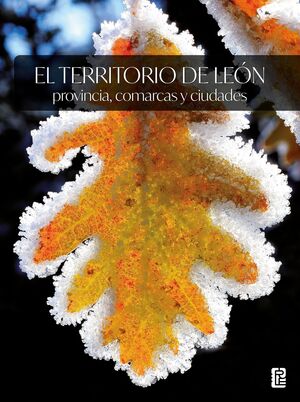 Seller image for EL TERRITORIO DE LEN: PROVINCIA, COMARCAS Y CIUDADES for sale by Antrtica