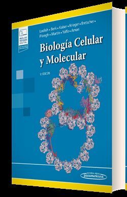 Seller image for BIOLOGA CELULAR Y MOLECULAR for sale by Antrtica