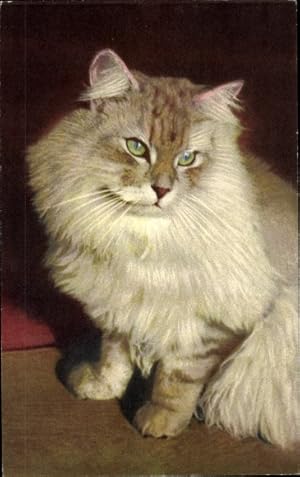 Bild des Verkufers fr Ansichtskarte / Postkarte Katzenportrait, Grne Augen, Tierportrait zum Verkauf von akpool GmbH