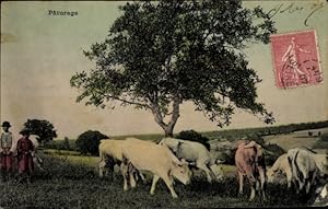 Ansichtskarte / Postkarte Kinder und Kühe auf der Wiese, Landwirtschaft