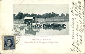 Ansichtskarte / Postkarte Argentinien, Wading a River, Rindergespann