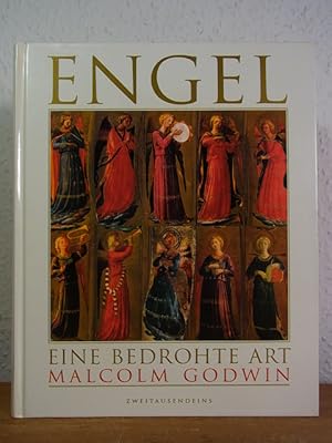 Seller image for Engel. Eine bedrohte Art for sale by Antiquariat Weber