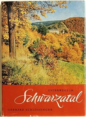 Seller image for Unterwegs im Schwarzatal; Bilder einer Landschaft for sale by Peter-Sodann-Bibliothek eG