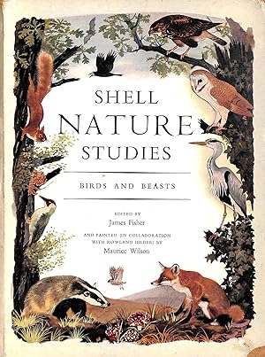 Shell Nature Studies: Birds and Beasts