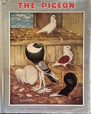 Seller image for The Pigeon for sale by librisaggi