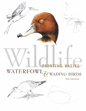 Seller image for Wildlife Painting Basics Waterfowl & Wading Birds for sale by GreatBookPrices