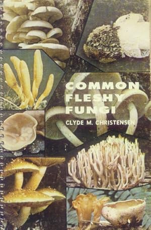 Bild des Verkufers fr Common Fleshy Fungi zum Verkauf von Paperback Recycler