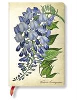 Bild des Verkufers fr PAINTED BOTANICALS BLOOMING WISTERIA MIN zum Verkauf von moluna