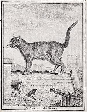 Immagine del venditore per Le Chat des Chartreux" - domestic cat Hauskatze chat / Tiere animals animaux venduto da Antiquariat Steffen Vlkel GmbH